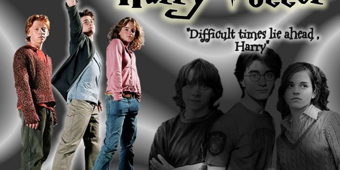 1024x768 Difficult Times | Mischief Managed | Harry potter wallpaper, Harry