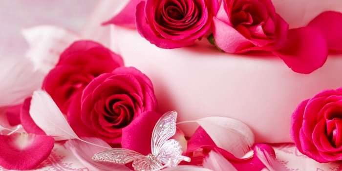 1024x768 Most Beautiful Flower Wallpapers World|http://refreshrose.blogspot.com/