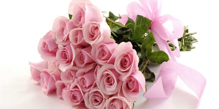 1024x768 Top 46+ Beautiful Pink Flowers for Your Garden | Happy birthday