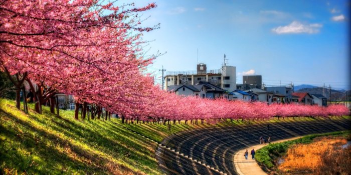 1920x1080 sky, Landscape, Trees, Pink, Path, Cherry Blossom, Japan Wallpapers