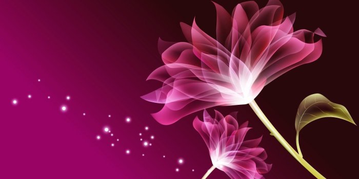 1920x1080 Most Beautiful Background Images Of Flowers Hd - Flowers Healthy