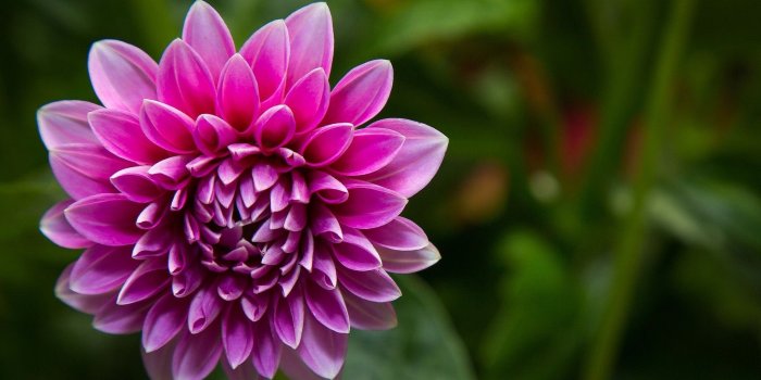 1920x1200 Beautiful Pink Wallpapers (63+ images)