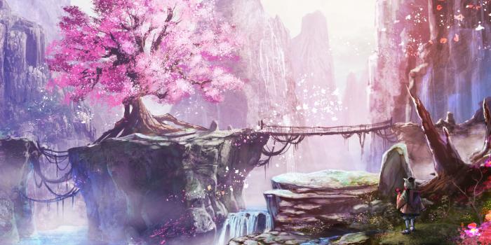 1962x1200 305 Cherry Blossom HD Wallpapers | Background Images