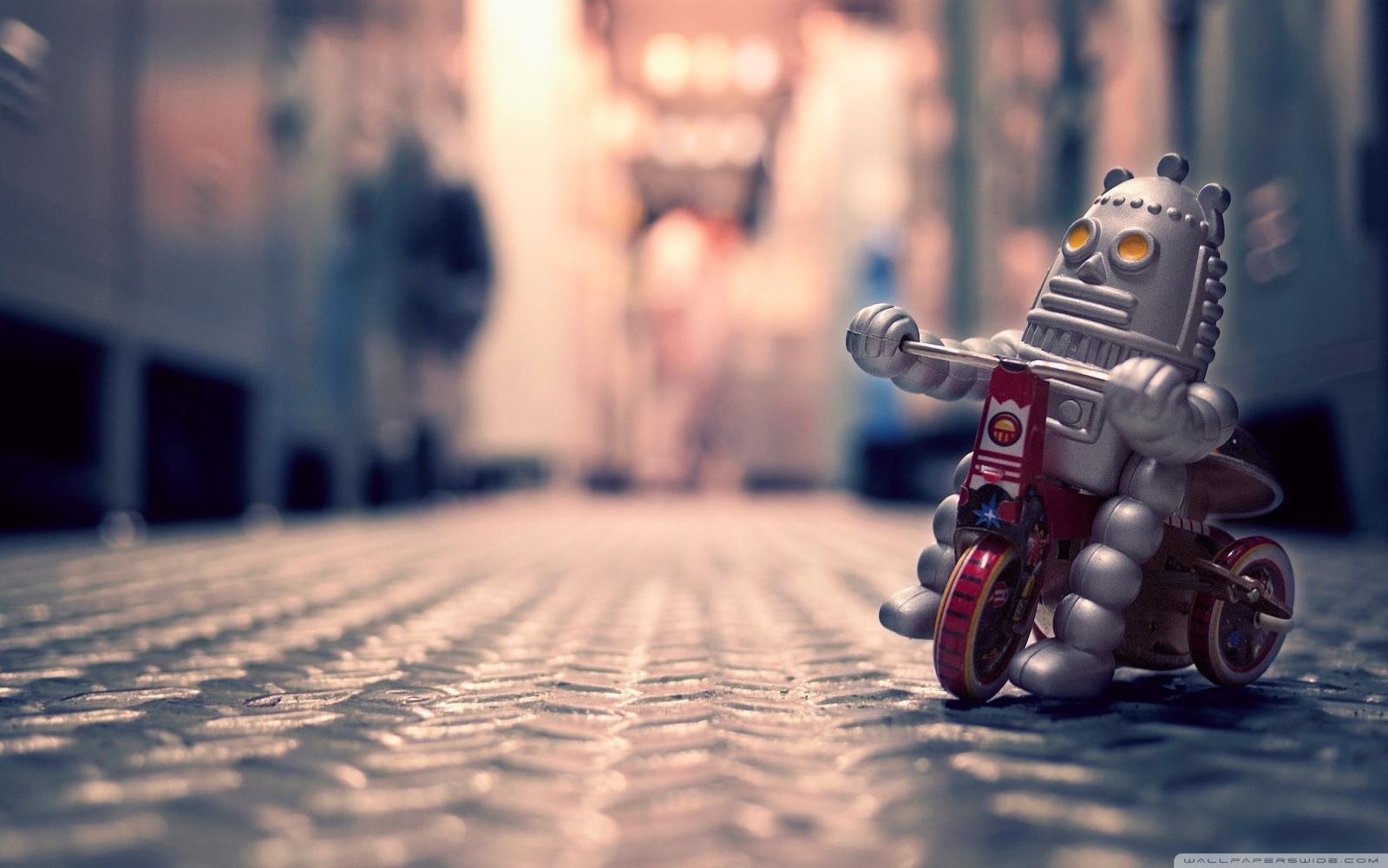 2560x1600 Lonely Toy Robot Photography Wallpaper #2756 - Ongur