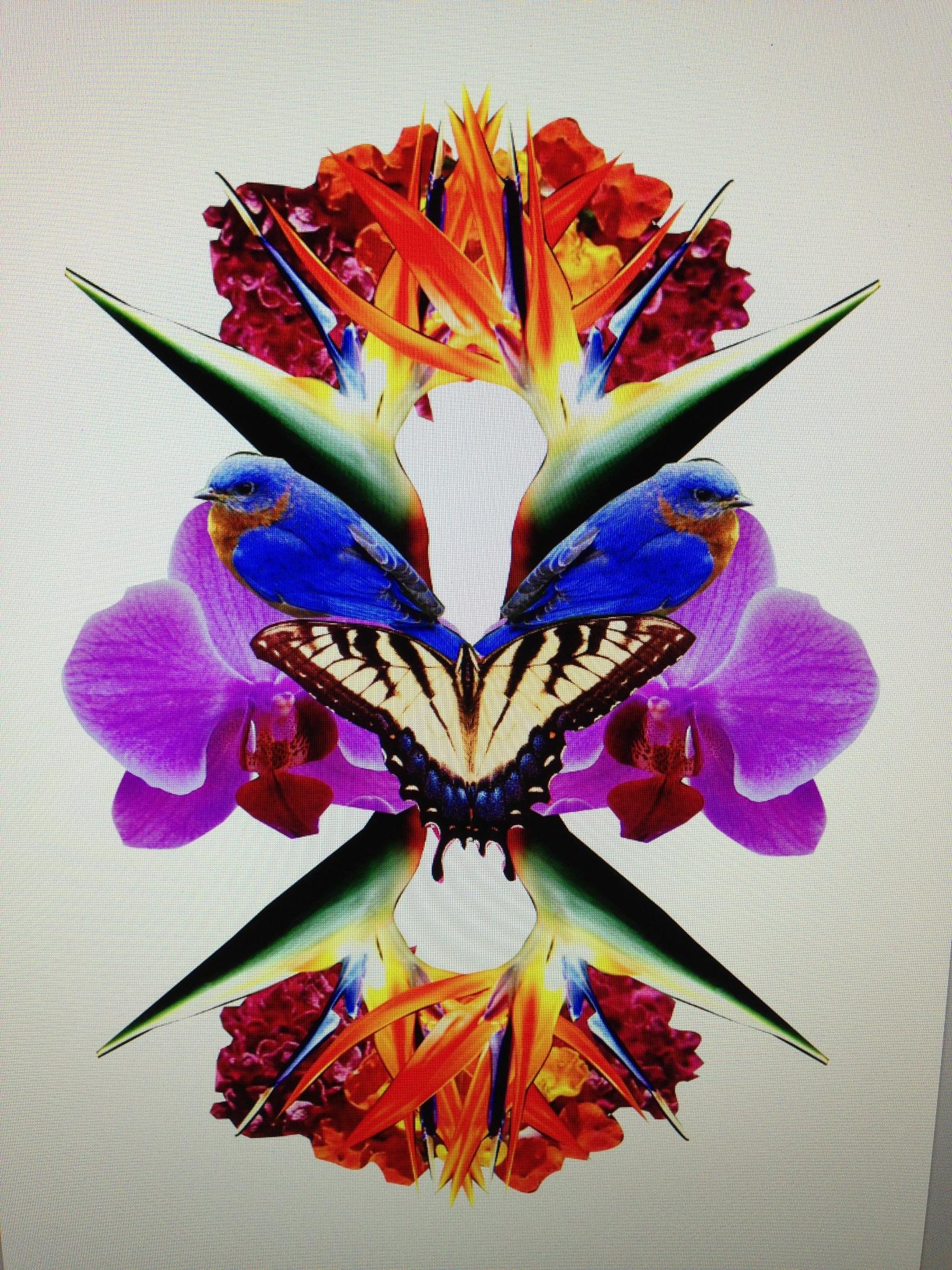 2448x3264 Birds Of Paradise Wallpaper Givenchy