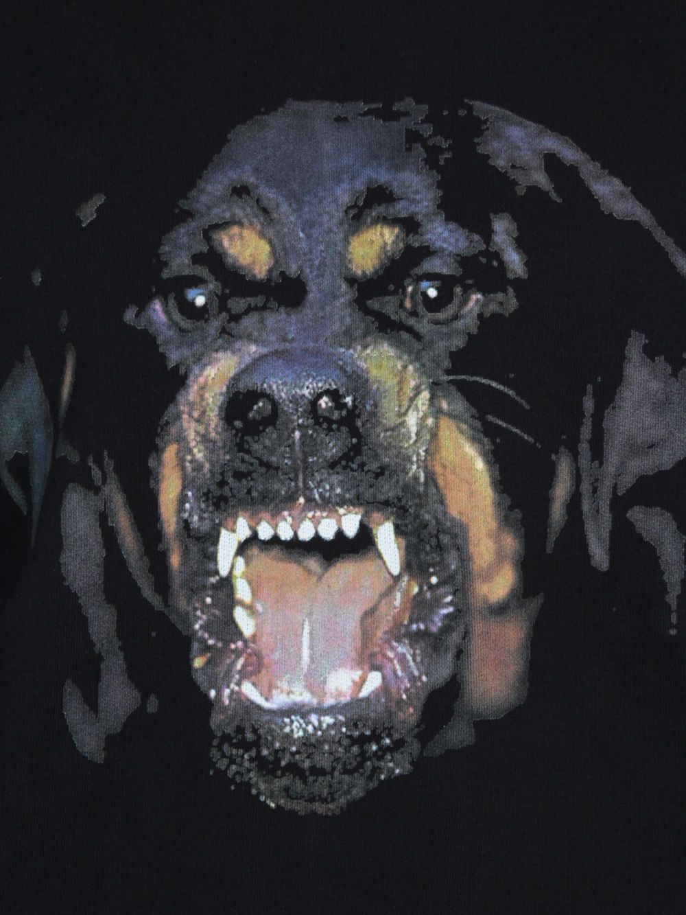 1000x1333 Download Givenchy Dog Wallpaper Gallery