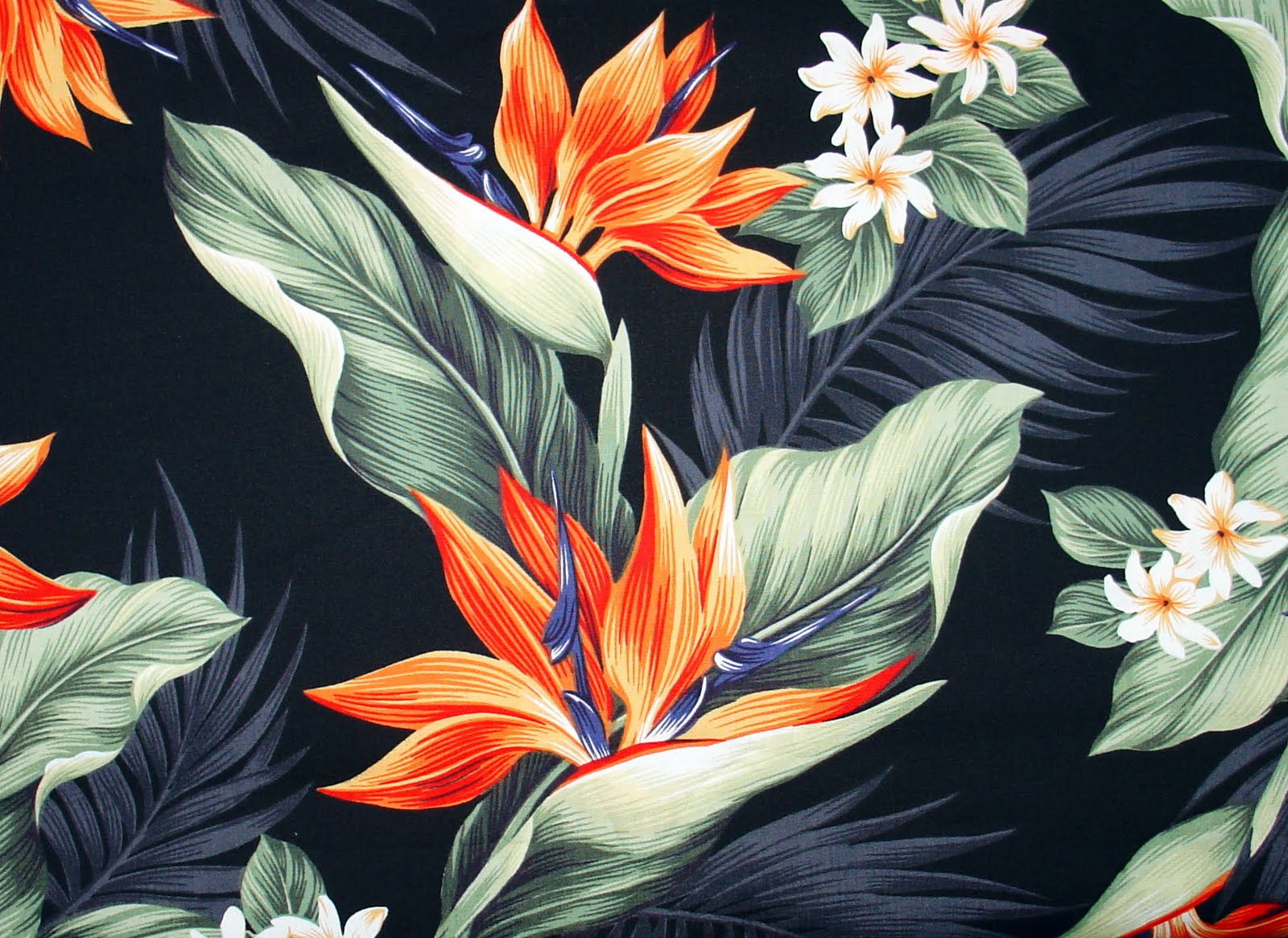 1600x1165 Birds Of Paradise Wallpaper Givenchy - Birds Of Paradise Pattern