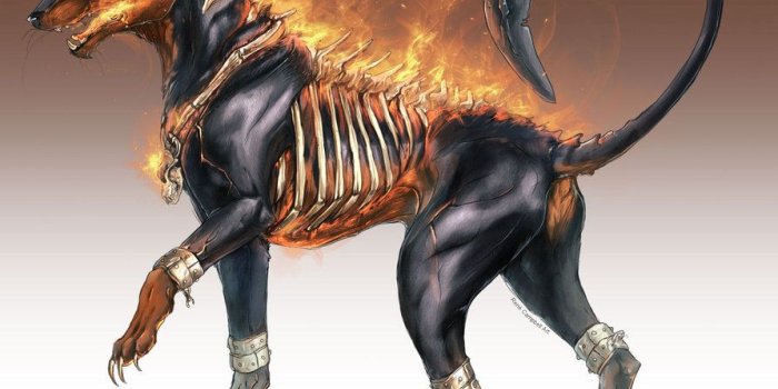 894x894 pokemon gambar REALISTIC POKEMON HD wallpaper and background foto