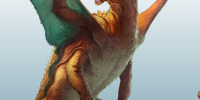 2048x2732 Free download Pokmon images Freaky Realistic Pokemon HD wallpaper