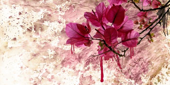 1920x1200 Flower Art Paint Wallpapers Pictures Photos Images | Art {Floral