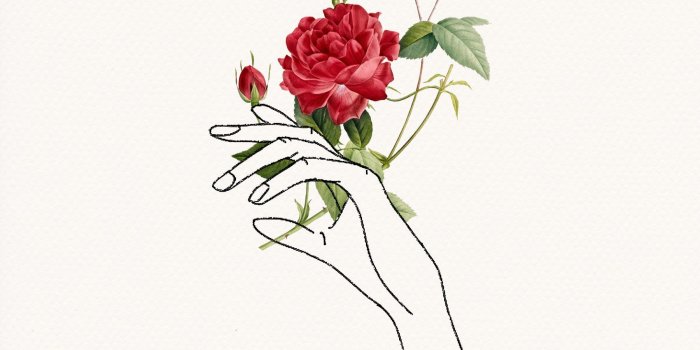1800x2500 HOLDING FLOWERS | Design | Flower art, Illustration art, Art drawings