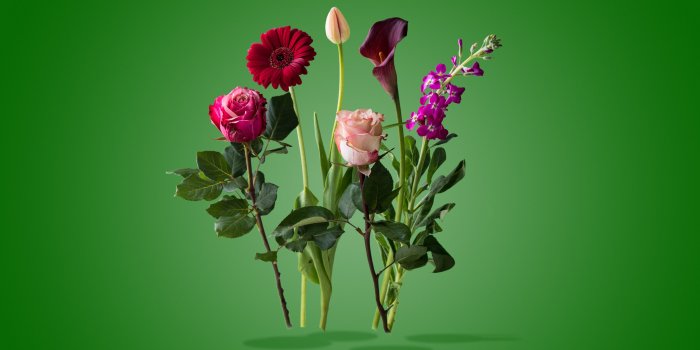 3840x2400 Flowers Art Design ❤ 4K HD Desktop Wallpaper for 4K Ultra HD TV
