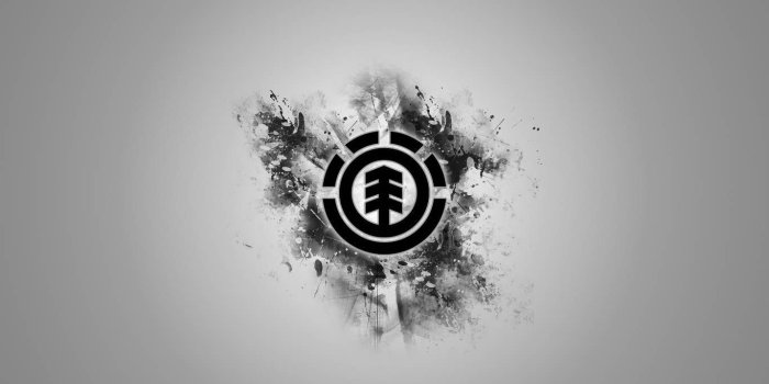 1366x768 images about Skate logos 900×804 Element Skateboard