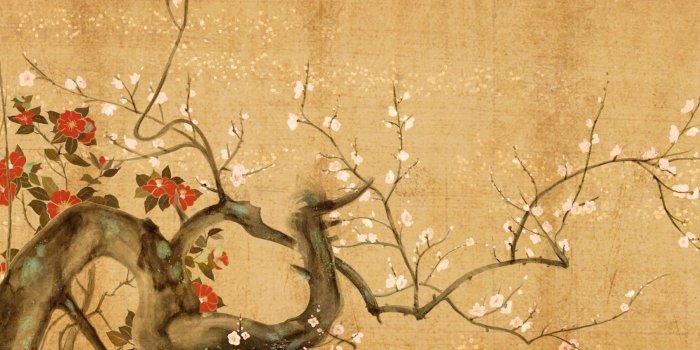 1805x1128 Japanese Flowers Art Wallpapers - Top Free Japanese Flowers Art