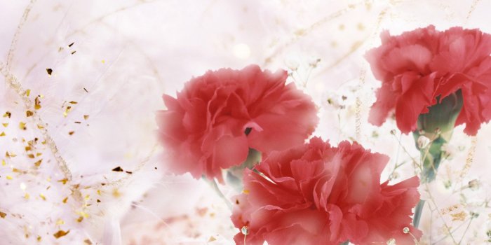 1600x1200 Free download Flower Art Posters Buy a Poster [1600x1200] for your