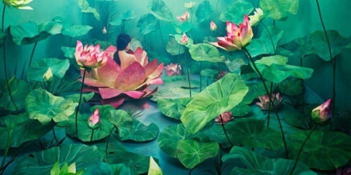1350x1080 40+ Lotus Flower Art Wallpapers - Download at WallpaperBro