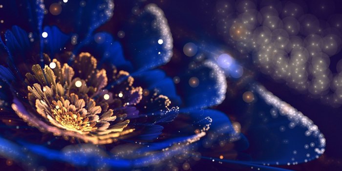 1920x1080 Free Art Flowers, Download Free Clip Art, Free Clip Art on Clipart