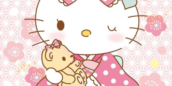 1080x1920 65+ Hello Kitty Wallpapers on WallpaperPlay