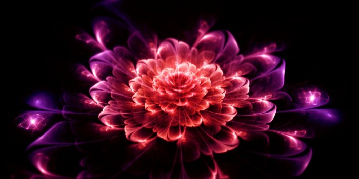 1920x1080 Flowers Digital Art wallpaper | 1920x1080 | #22961