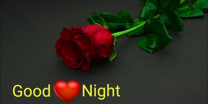 1280x748 Good Night Rose Images and Message