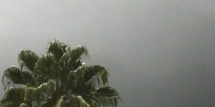 750x1334 Uicideboy Iphone Wallpaper Related Keywords & Suggestions