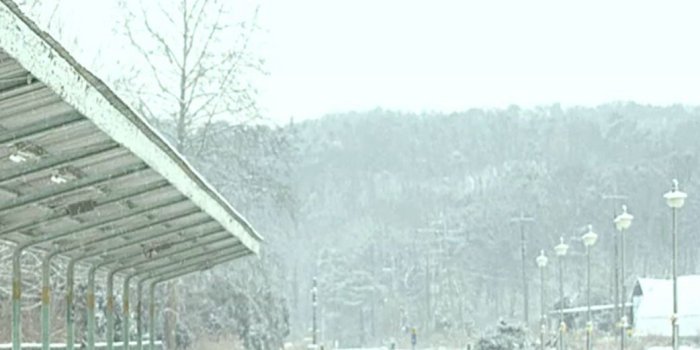 1042x1920 Great Bts Spring Day Wallpaper | Bts | Bts, Bts Wallpaper, Bts