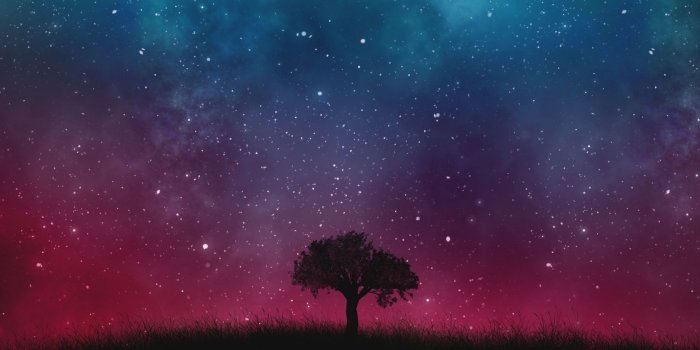 1680x1050 Download 1680x1050 Lonely Tree, Starry Sky, Night, Cosmos, Galaxy