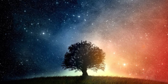 1920x1200 Space Tree [1920x1200] : wallpaper