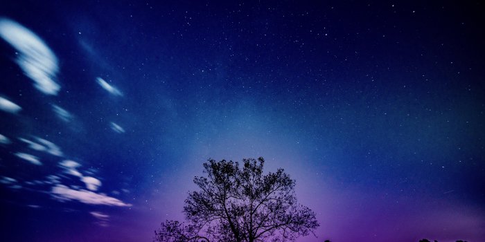 7952x5304 Tree Galaxy Sky 8k, HD Nature, 4k Wallpapers, Images, Backgrounds