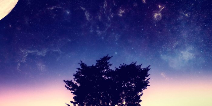 1920x1920 Wonderful Sunset Tree Lock Screen 1920x1920 Samsung Galaxy S4