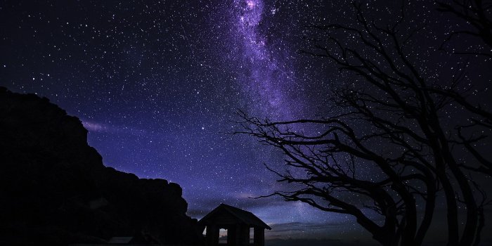 1920x1200 Milky Way galaxy, lights, nature, trees, night HD wallpaper