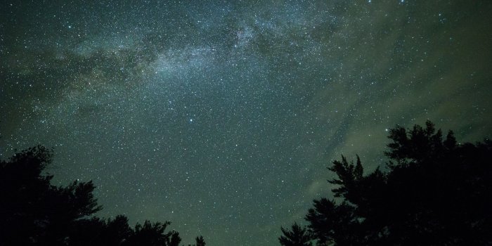 1920x1080 Stars Galaxy over Silhouette of Trees Wallpaper - Wallpaper Stream