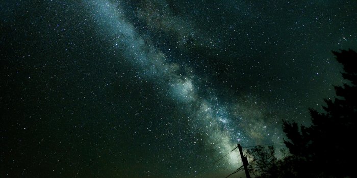 6016x4016 Galaxy digital wallpaper, nature, stars, trees HD wallpaper