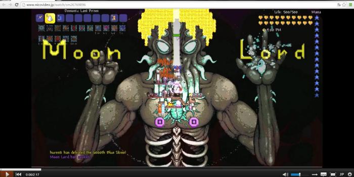 1600x900 Japanese Player Gives Moon Lord a Makeover - Imgur