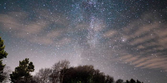 1920x1080 Stars Galaxy Green Trees Wallpaper - Wallpaper Stream