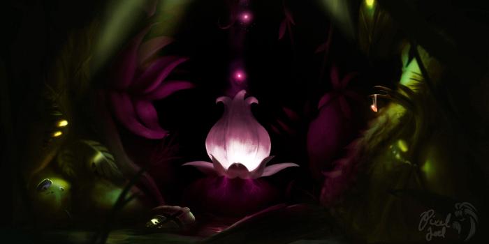 2800x1477 Plantera bloom - A living wallpaper on Behance