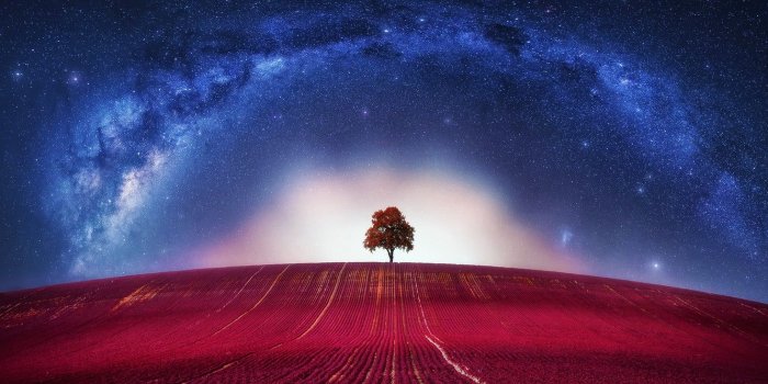 1332x850 Wallpaper Fantasy, Avatar, Clouds, Loneliness, Horizon, Tree, Galaxy