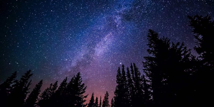 1920x1079 Galaxy Wallpaper Background - Trees And Night Sky Free Wallpaper