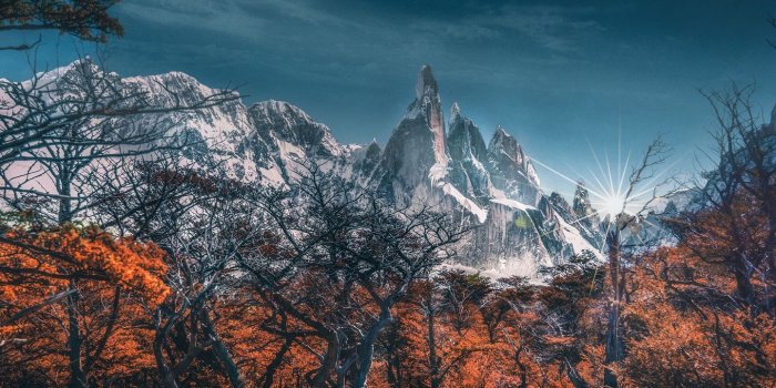 1440x2560 Galaxy Landscape Mountains Trees Sky HD wallpaper Gallery