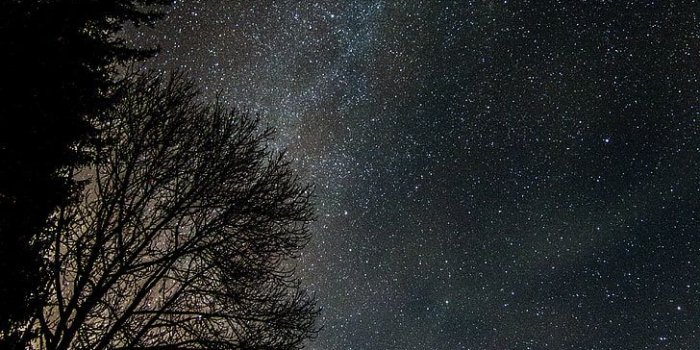 728x1092 HD wallpaper: galaxy, stars, astronomy, tree, space, star - space