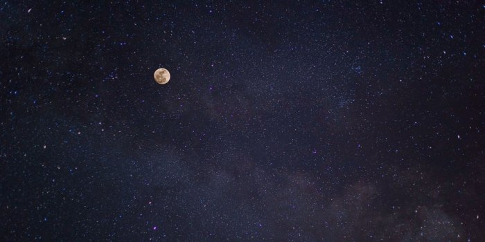 2938x1653 5100006 #5K, #Moon, #Stars, #Planet, #Galaxy, #Tree | Space