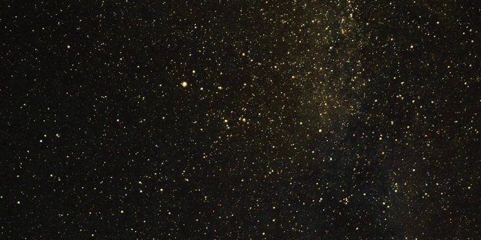 1080x1920 Night Sky Milkyway Tree Wood Nature Gold #iPhone #6 #wallpaper