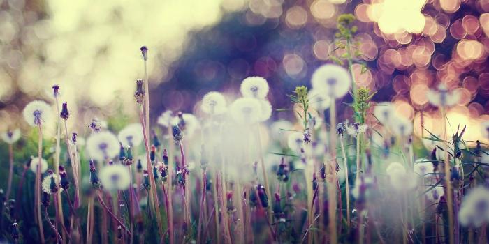 2560x1600 Vintage Wallpaper HD Pictures – One HD Wallpaper Pictures