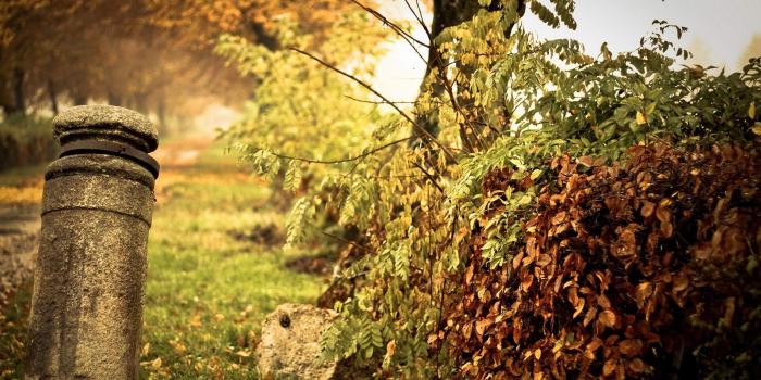 1920x1200 Antique Wallpapers HD