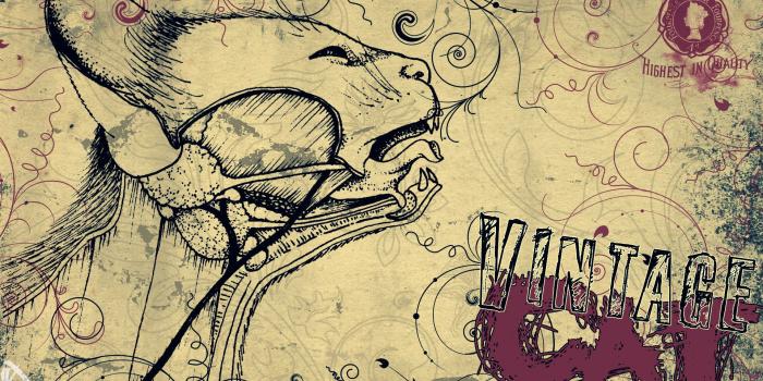 1920x1080 Vintage Wallpapers (64+ background pictures)