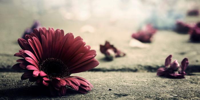 1920x1080 Vintage Desktop Wallpapers ·① WallpaperTag