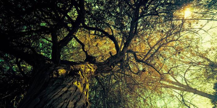 1920x1080 Vintage Desktop Backgrounds - Wallpapers Browse