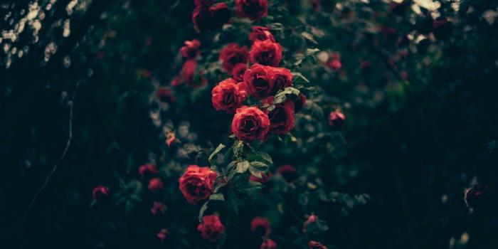 1920x1080 Vintage Wallpapers (64+ background pictures)