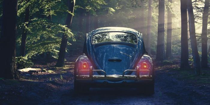 1366x768 Download wallpaper 1366x768 car, retro, forest, fog tablet, laptop