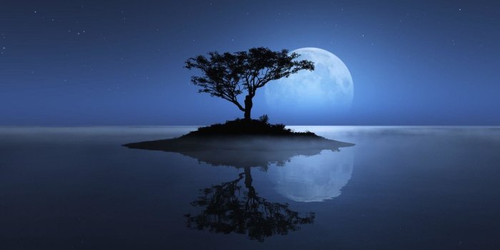 1920x1200 All Alone Wallpapers - Top Free All Alone Backgrounds - WallpaperAccess